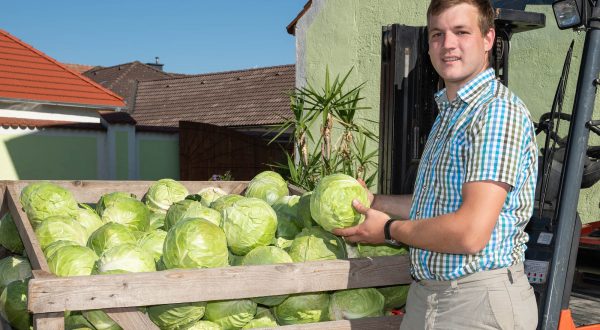 Landwirtschaft und Betrieb